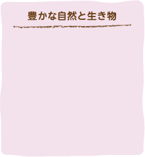 豊かな自然と生き物